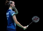 爱游戏在线-日本队逆转德国队，陈雨菲点燃赛场