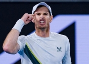 爱游戏体育官网-ATP总决赛横扫联合杯，穆雷扛起全队