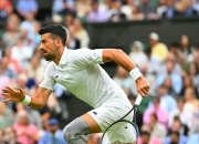 爱游戏在线-联合杯横扫戴维斯杯，德约科维奇关键制胜