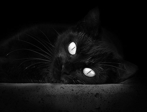 英超争冠焦点战硝烟弥漫，多特蒙德轻取德国德比显欧陆格局