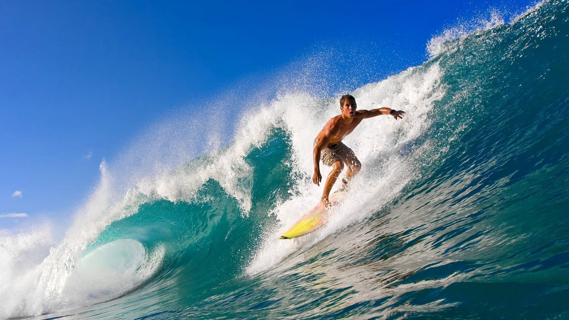 特奥节奏完全掌控，伊朗横扫新西兰，一场战术与意志的完美胜利